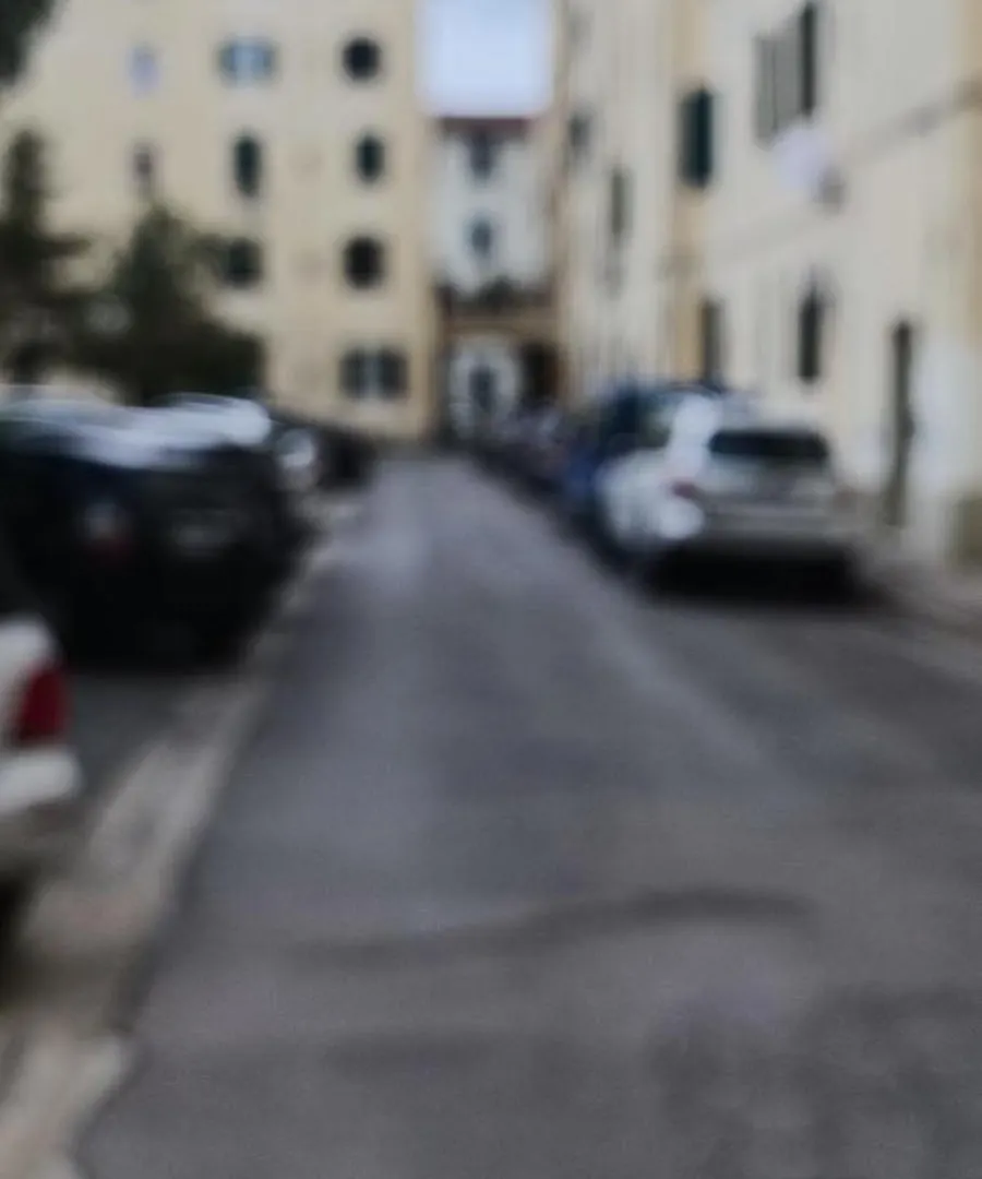 Appartement Casa Giafer Apt Luminoso Spazioso Ben Localizzato Florence Italie